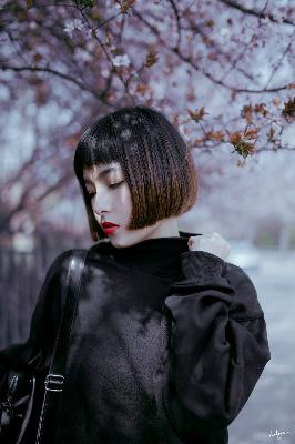 日韩免费看的电影电视剧