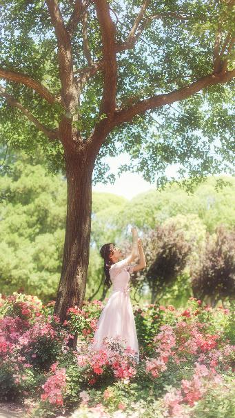 菠萝蜜影视免费观看电视剧高清